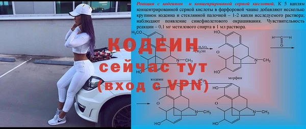 стаф Коряжма