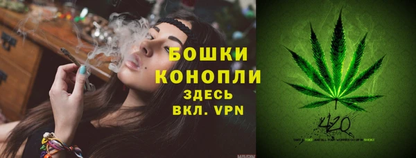 стаф Коряжма