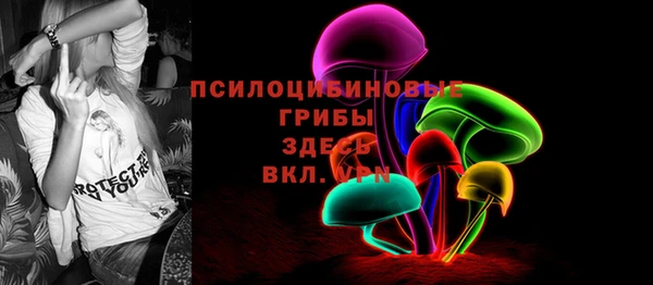 мяу мяу кристалл Корсаков