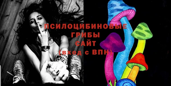 стаф Коряжма